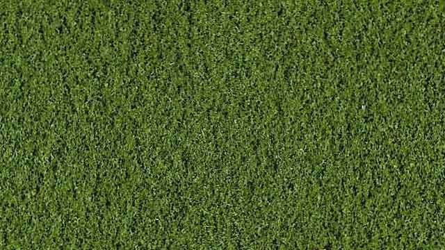 HEKI 3385 — Растительность зелёная (микро флокаж 200 мл.), 1:35—1:1000, сделано в Германии